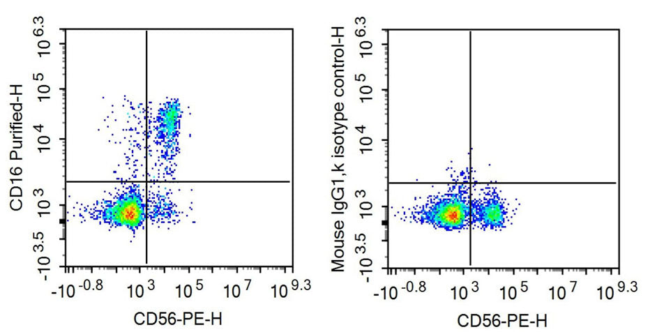 Anti-Fc Fragment Of IgG Low Affinity IIIb Receptor (FcgR3B) Monoclonal Antibody - image 2