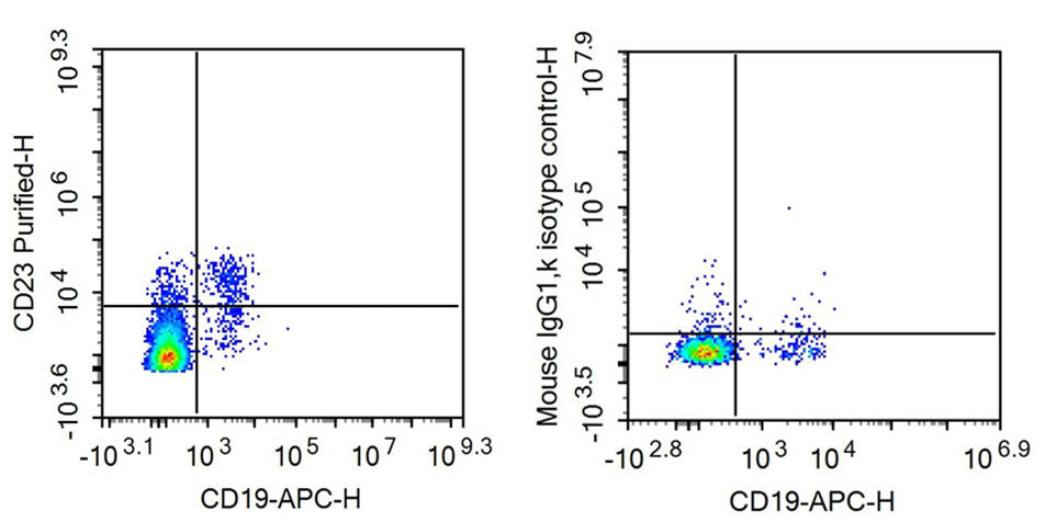 Anti-Cluster Of Differentiation 23 (CD23) Monoclonal Antibody - image 2