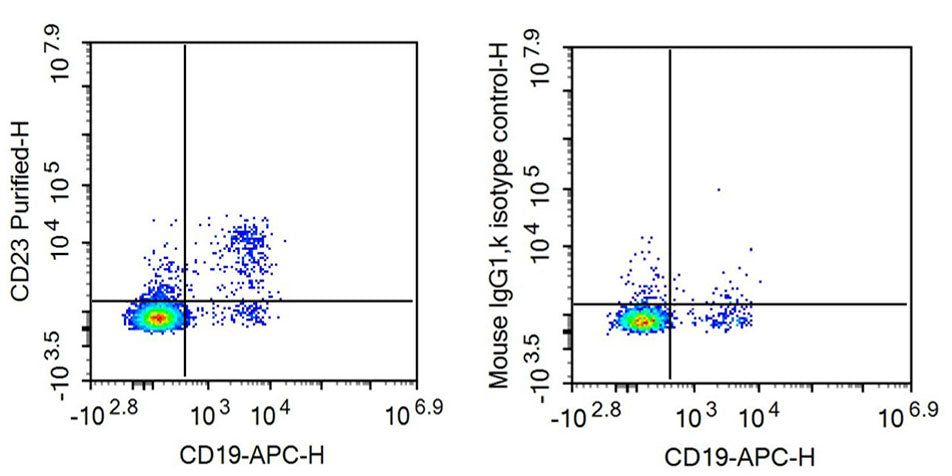 Anti-Cluster Of Differentiation 23 (CD23) Monoclonal Antibody - image 2