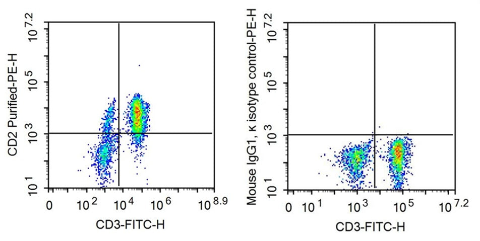 Anti-Cluster Of Differentiation 2 (CD2) Monoclonal Antibody - image 2