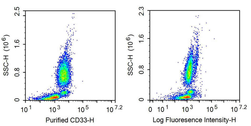 Anti-Cluster Of Differentiation 33 (CD33) Monoclonal Antibody - image 3