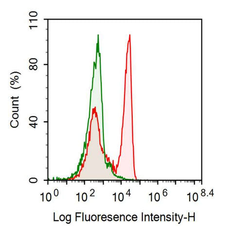 Anti-Fc Fragment Of IgG Low Affinity IIIa Receptor (FcgR3A) Monoclonal Antibody - image 2
