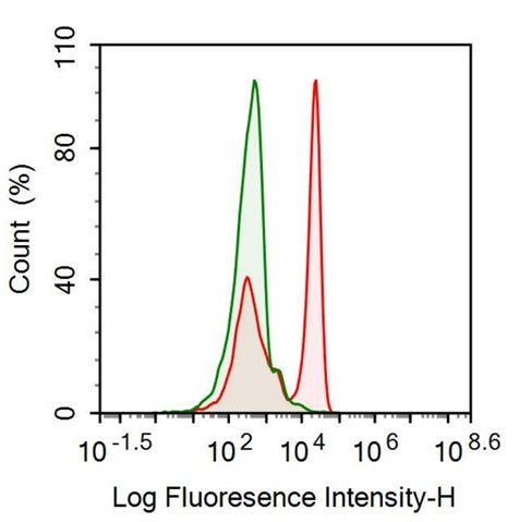 Anti-Fc Fragment Of IgG Low Affinity IIIa Receptor (FcgR3A) Monoclonal Antibody - image 2