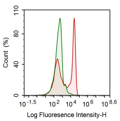 Anti-Fc Fragment Of IgG Low Affinity IIIa Receptor (FcgR3A) Monoclonal Antibody - image 2
