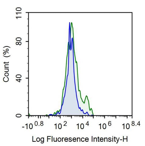 Anti-Membrane Spanning 4 Domains Subfamily A, Member 1 (CD20) Monoclonal Antibody - image 2