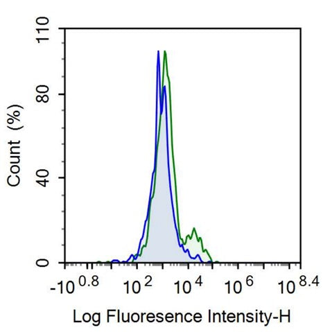 Anti-Membrane Spanning 4 Domains Subfamily A, Member 1 (CD20) Monoclonal Antibody - image 2