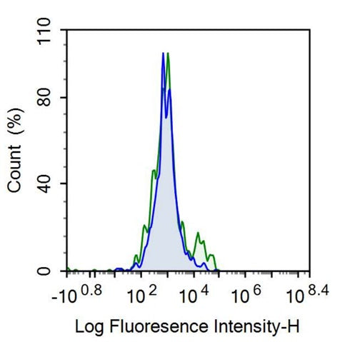 Anti-Membrane Spanning 4 Domains Subfamily A, Member 1 (CD20) Monoclonal Antibody - image 2