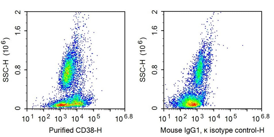 Human peripheral blood lymphocytes were stained with 20ug/ml mouse Anti-human CD38 Monoclonal Antibody