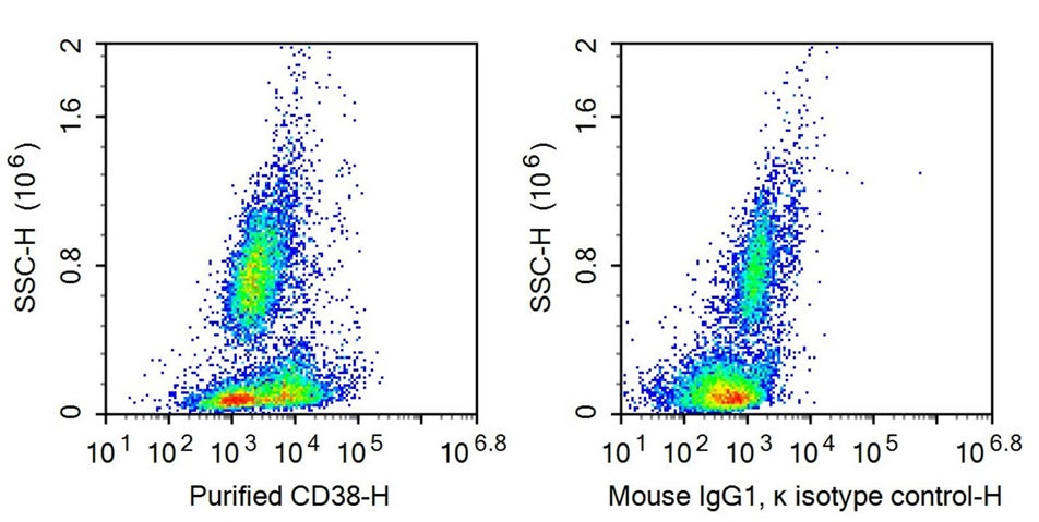 Anti-Cluster Of Differentiation 38 (CD38) Monoclonal Antibody - image 2