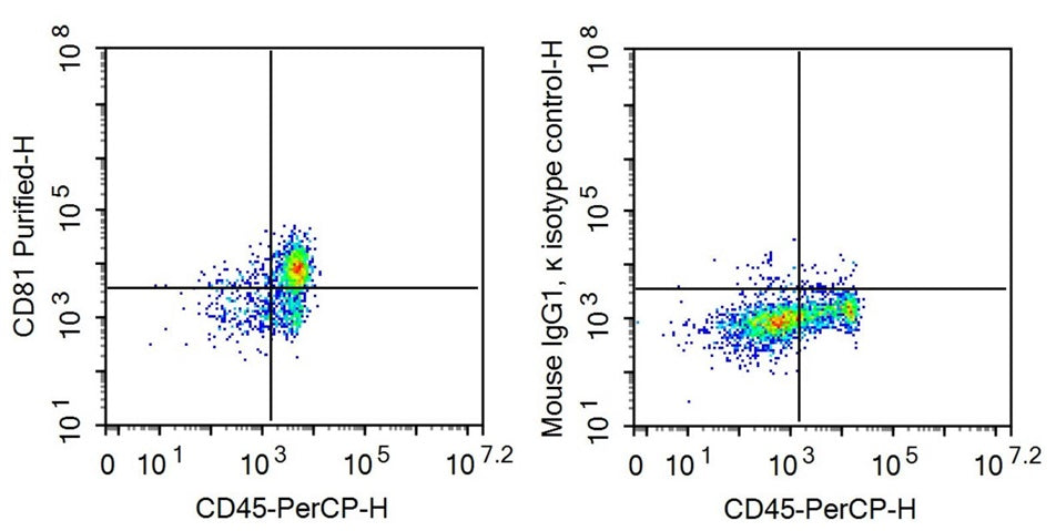 Anti-Target Of The Antiproliferative Antibody 1 (TAPA1) Monoclonal Antibody - image 2