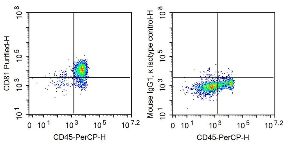 Anti-Target Of The Antiproliferative Antibody 1 (TAPA1) Monoclonal Antibody - image 2