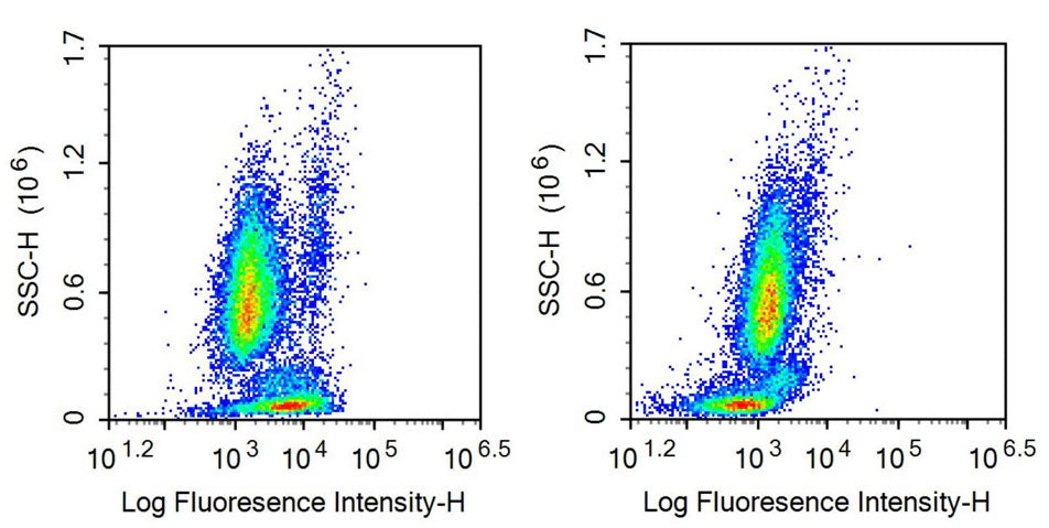 Anti-Target Of The Antiproliferative Antibody 1 (TAPA1) Monoclonal Antibody - image 2