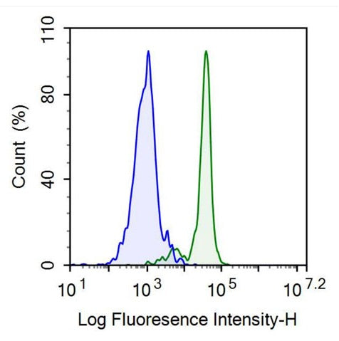 Anti-Homing Associated Cell Adhesion Molecule (HCAM) Monoclonal Antibody - image 2