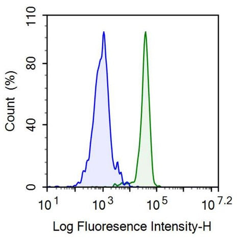 Anti-Homing Associated Cell Adhesion Molecule (HCAM) Monoclonal Antibody - image 2