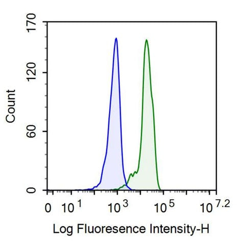 Anti-Homing Associated Cell Adhesion Molecule (HCAM) Monoclonal Antibody - image 2