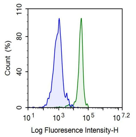 Anti-Homing Associated Cell Adhesion Molecule (HCAM) Monoclonal Antibody - image 2