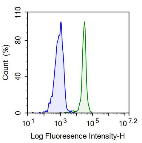 Homing Associated Cell Adhesion Molecule (HCAM) Monoclonal Antibody - image 3