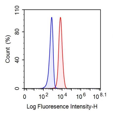 Anti-Fatty Acid Binding Protein 4 (FABP4) Monoclonal Antibody - image 2