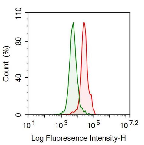 Anti-Haptoglobin (Hpt) Monoclonal Antibody - image 2