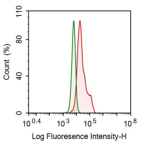 Anti-Apolipoprotein B (APOB) Monoclonal Antibody - image 2