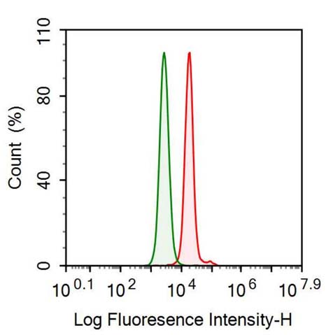 Anti-Thioredoxin (Trx) Monoclonal Antibody - image 2