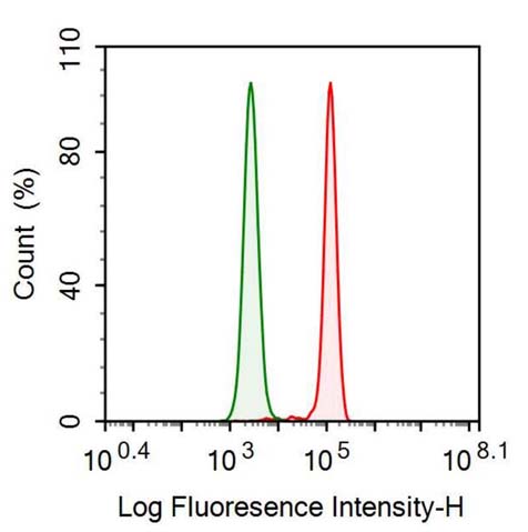 Anti-Thioredoxin (Trx) Monoclonal Antibody - image 2