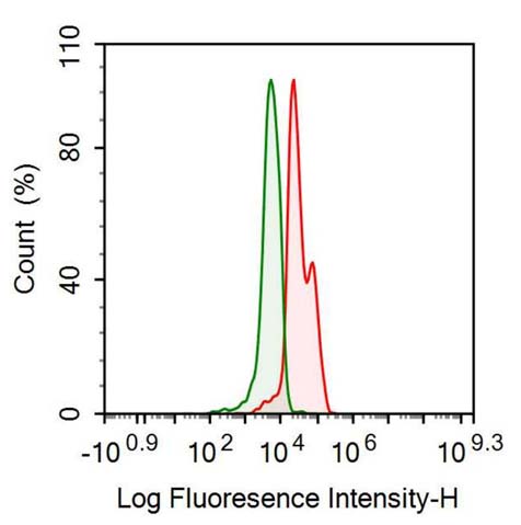 Anti-Anti-Mullerian Hormone (AMH) Monoclonal Antibody - image 2
