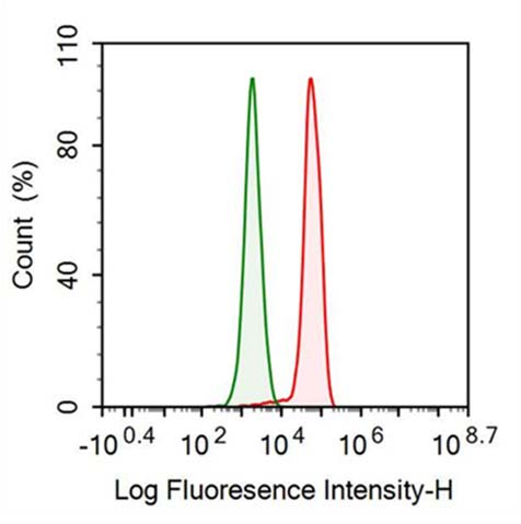 Anti-Anti-Mullerian Hormone (AMH) Monoclonal Antibody - image 2