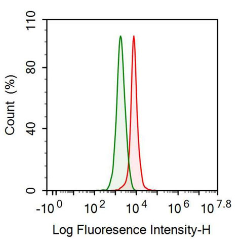 Anti-Anti-Mullerian Hormone (AMH) Monoclonal Antibody - image 2