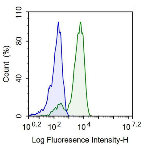 Anti-Integrin Beta 3 (ITGb3) Monoclonal Antibody - image 2