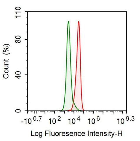 Anti-Nerve Growth Factor (NGF) Monoclonal Antibody - image 2