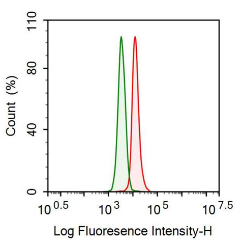 Anti-Fibrinogen Beta Chain (FGB) Monoclonal Antibody - image 2