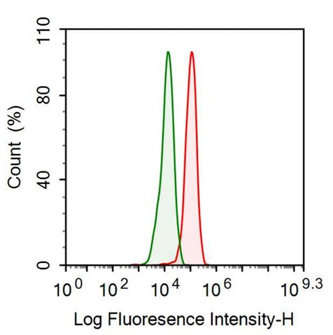 Anti-S100 Calcium Binding Protein (S100) Monoclonal Antibody - image 2