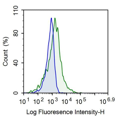 Anti-Cluster of Differentiation 90 (CD90) Monoclonal Antibody - image 2
