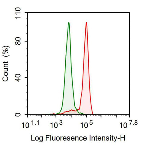 Anti-Haptoglobin (Hpt) Monoclonal Antibody - image 2