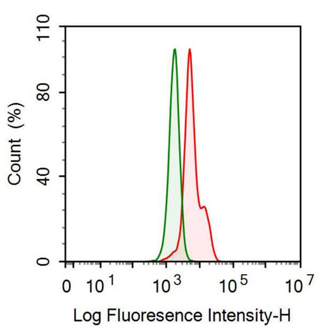 Anti-Fibrinogen Beta Chain (FGB) Monoclonal Antibody - image 2