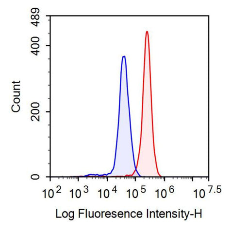 Anti-Glial Cell Line Derived Neurotrophic Factor (GDNF) Polyclonal Antibody - image 2