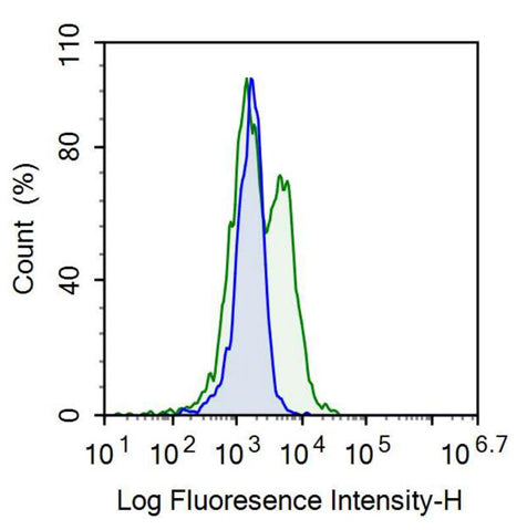 Anti-Cluster Of Differentiation 14 (CD14) Polyclonal Antibody - image 2