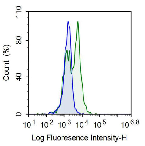 Anti-Cluster Of Differentiation 14 (CD14) Polyclonal Antibody - image 2