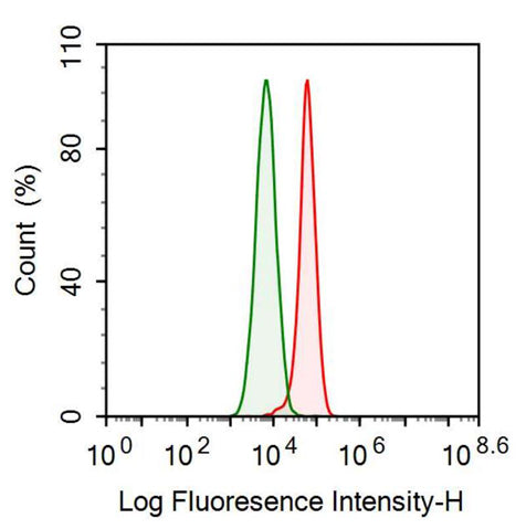 Anti-Clusterin (CLU) Monoclonal Antibody - image 2