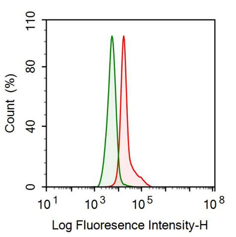 Anti-Visfatin (VF) Monoclonal Antibody - image 2