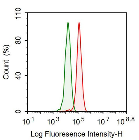 Anti-Histidine Rich Glycoprotein (HRG) Monoclonal Antibody - image 2