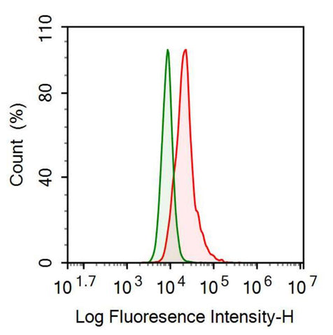 Anti-Hemoglobin (HB) Polyclonal Antibody - image 2
