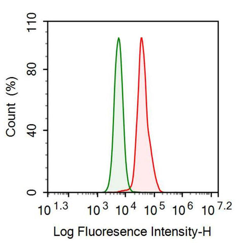 Anti-Follistatin Like Protein 1 (FSTL1) Monoclonal Antibody - image 2