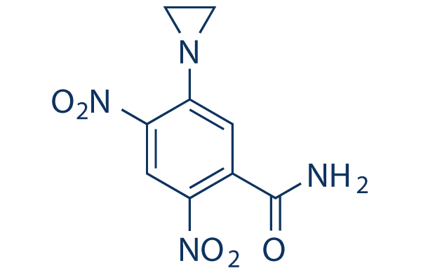 CB1954