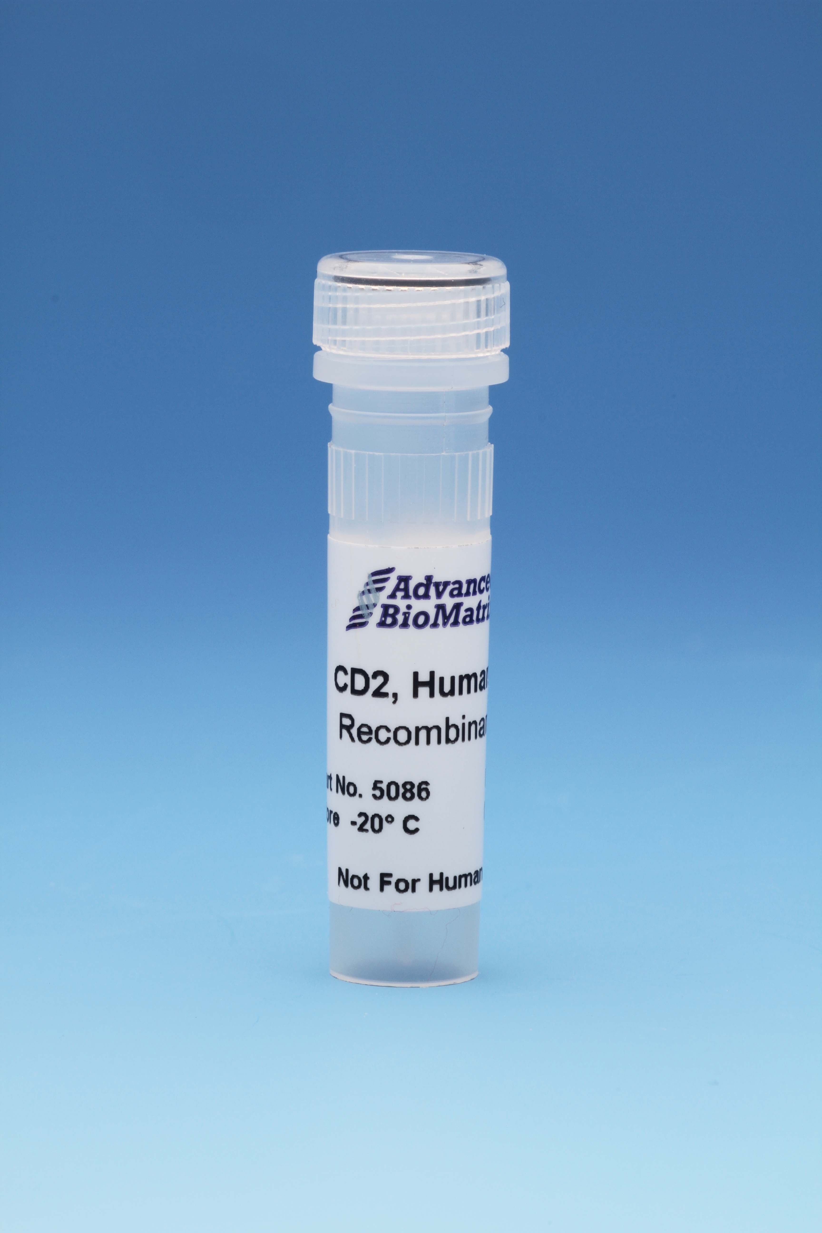 CD2, Human, Recombinant, 0.5 mg/ml, 0.1 mg