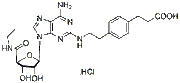 CGS 21680 hydrochloride