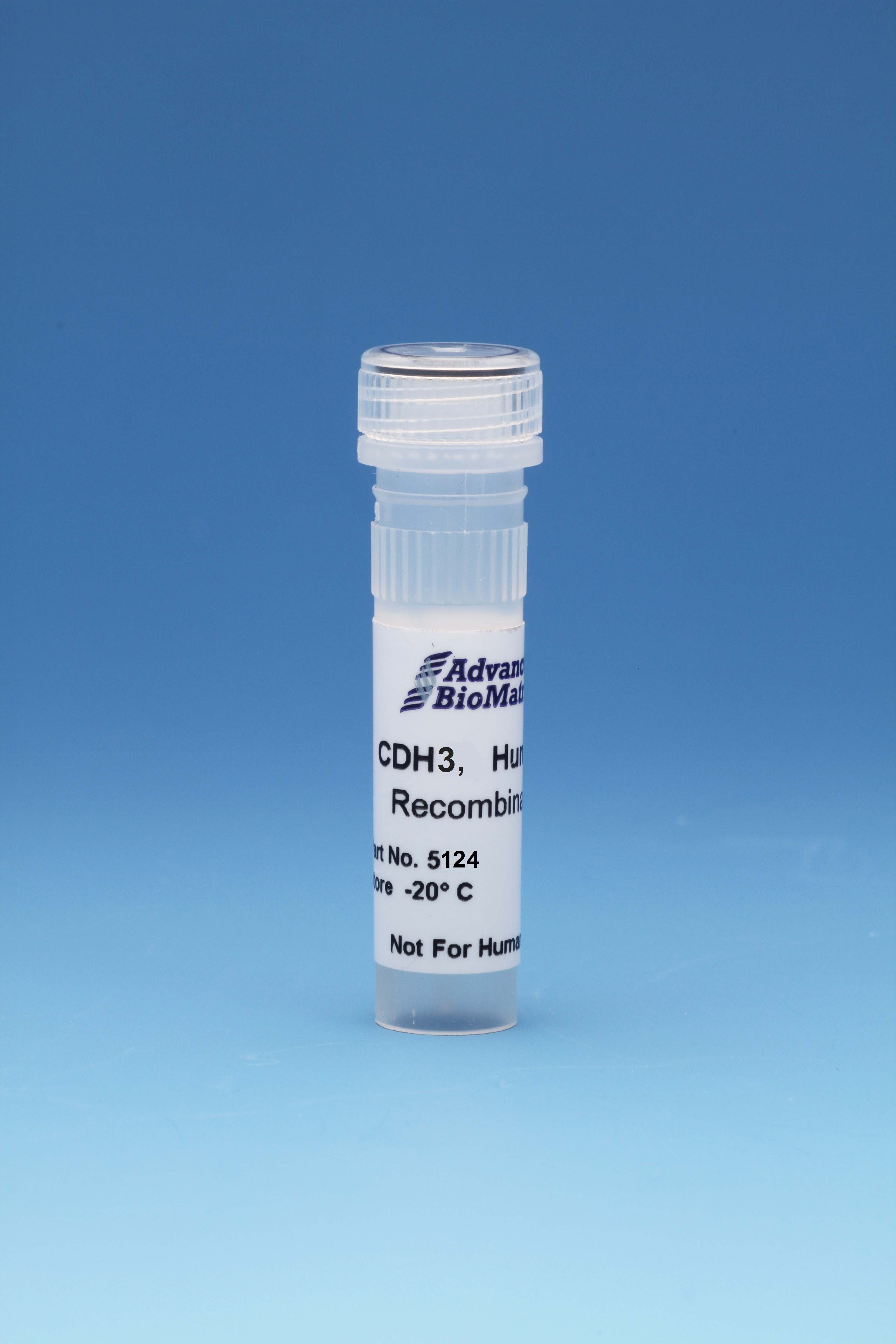 CDH3, Human, Recombinant, 0.5 mg/ml, 0.05 mg