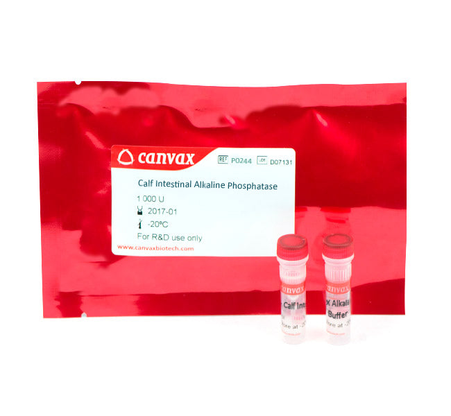 CIAP (Calf Intestinal Alkaline PPase), (20 U/µL)
