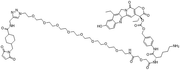 CL2A-SN-38